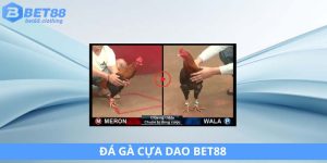 Đá gà cựa dạo ảnh đại diện bet88